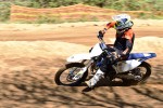 _DSC0521