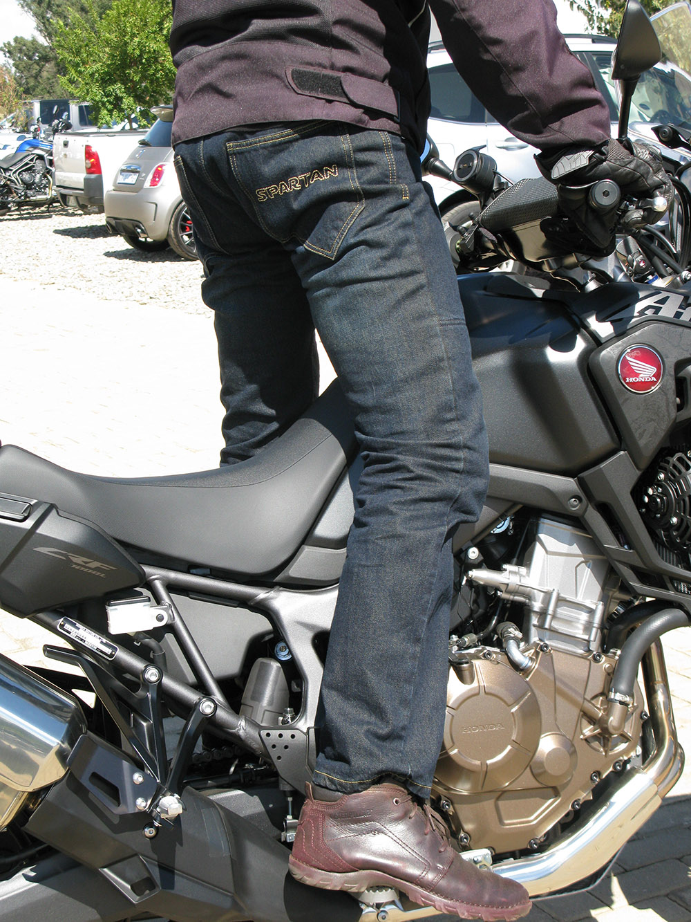 SCIMITAR Mars Riding Pants in Chennai at best price by Spartan Progear Co   Justdial