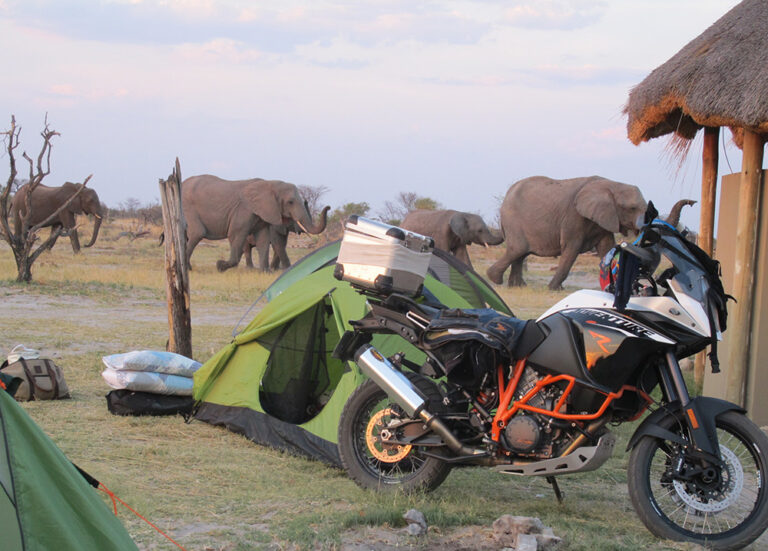 Botswana Odyssey 2016