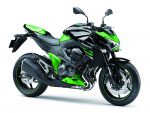 13ZR800A_GRN_RF