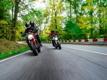 1-54 MONSTER 797