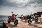 Monster 797 Plus Statics13