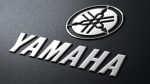 3da79da5705a4fb781dab946ccdcb9fa