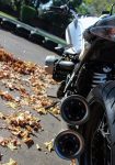 IMG_2719_2