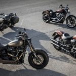 HarleySofttail_fam_feature_b