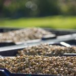 30051705_1897687853599192_6323609154483922819_o