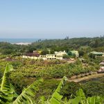 59786_561580467215036_1617550277_n