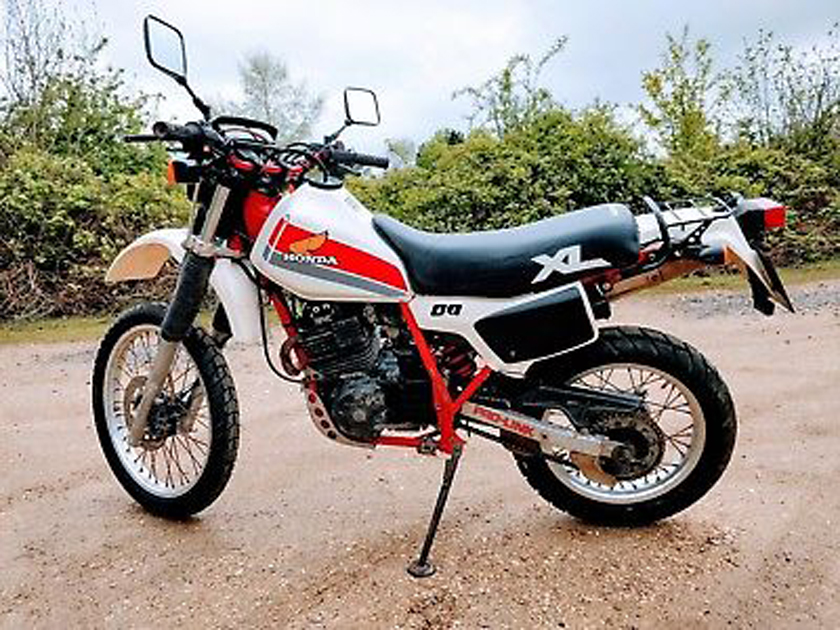 1984-Honda-xl600r-_1.jpg