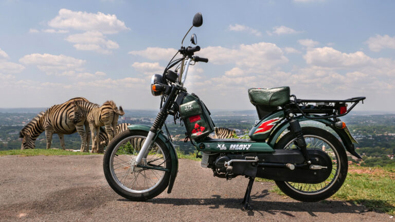 India’s Beast of Burden