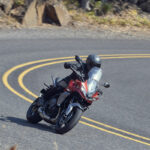 Tiger_Sport_660__BA8I7137_PB