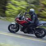 Tiger_Sport_660__BA8I7842_PB