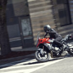 Tiger_Sport_660__BA8I9111_PB