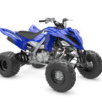 Raptor-700