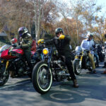 DSCF7176