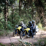 dl800dercm3_action_35