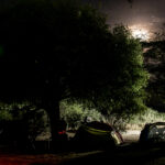 Camp