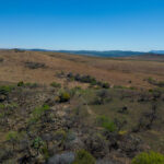 RR harties-207