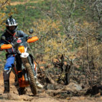 RR harties-282