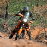 RR harties-288