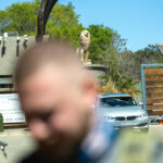 RR harties-296