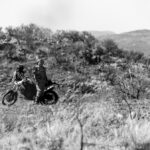 RR harties-316