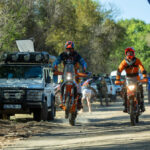 RR harties-350