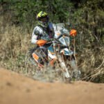 RR harties-364