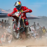 Wade Young