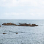 DSCF1008