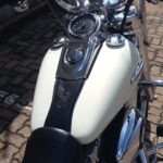Dyna Switchback 2014 7