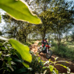 Skyler Howes_Monster Energy Honda HRC 01 – Edophoto