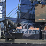 South African Safari Rally Trophies (2) – Dave Ledbitter