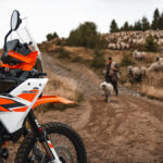 647137_MY25 KTM 390 ADVENTURE R_02_STATIC_KTM 390 ADVENTURE range