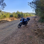 Brian Cheyne – Kaapsehoop-14