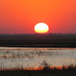 IMG_5334