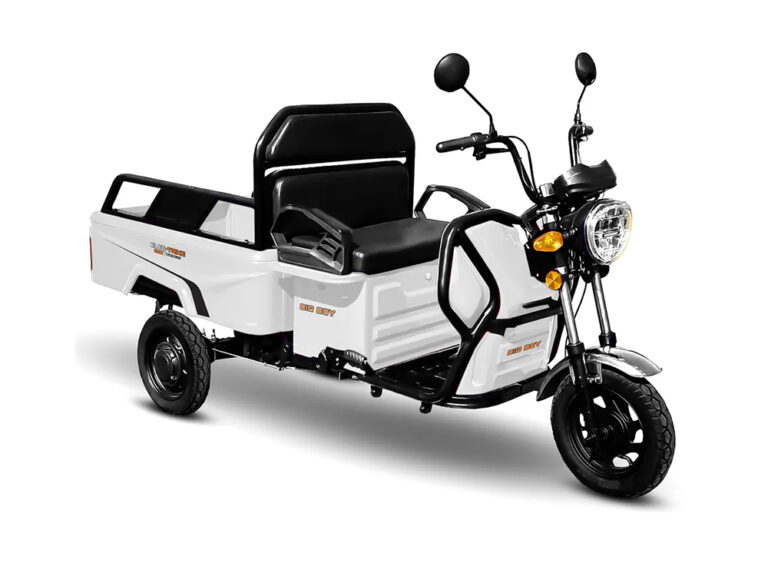 Big Boy Elec-Trike 800W