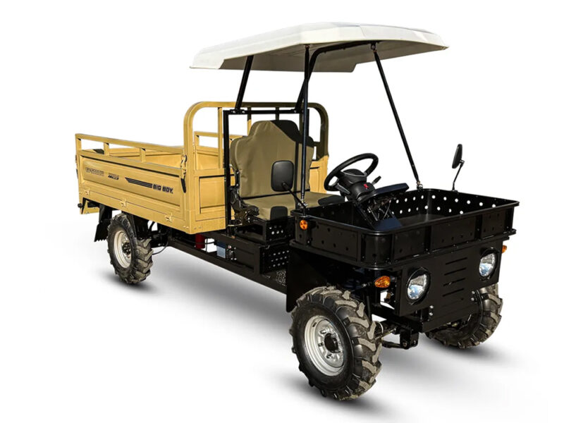 Big Boy Monster EV 5000W