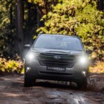 SUB_FORESTER25-LR-4-scaled