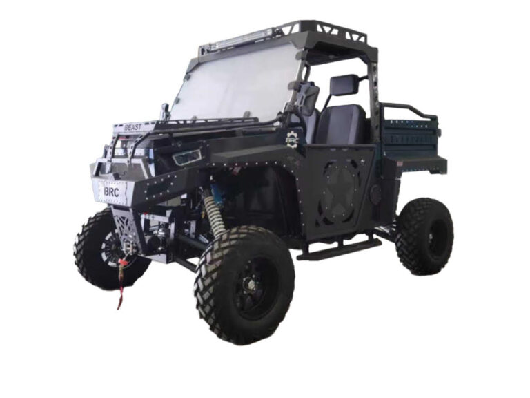 Beast 1000 EPS – 3 Seater