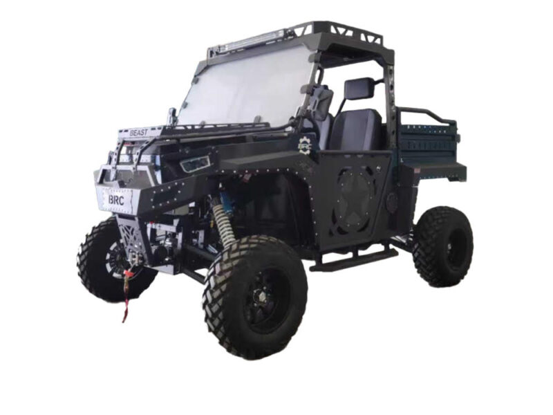 Beast 1000 EPS – 3 Seater