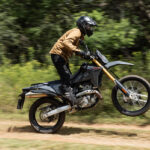 _DSC9610-3 copyFB