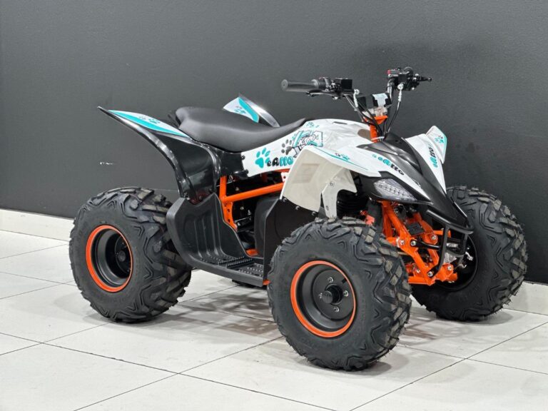 2026 KAYO EA 110 Electric Quad