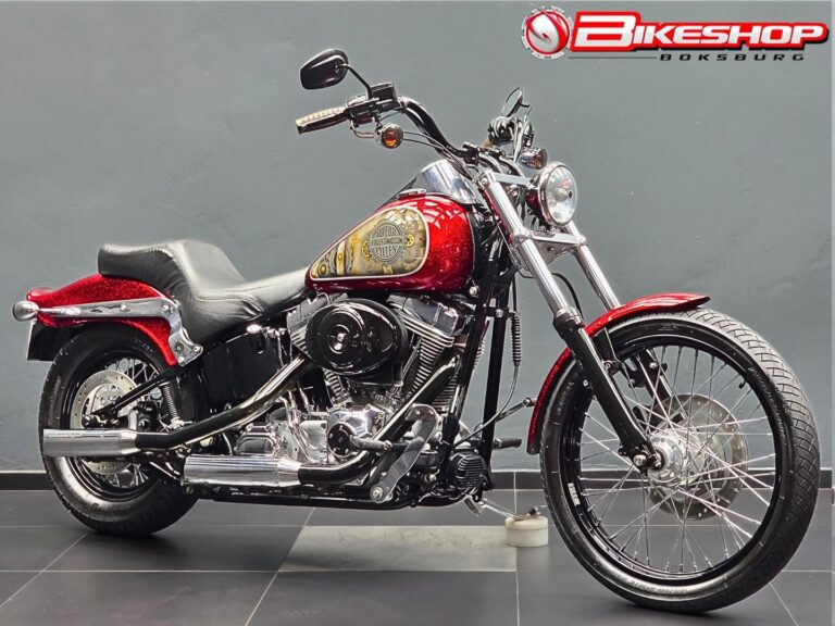 2005 Harley-Davidson SOFTAIL STANDARD