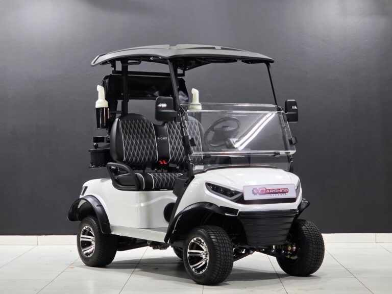 2026 Ganelec Golf Cart 2 Seater