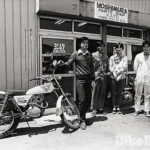 Yoshi-43