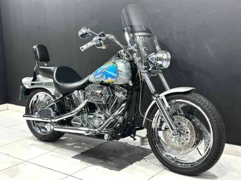 2005 Harley-Davidson SOFTAIL CUSTOM