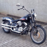 Softail Springer 2