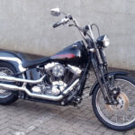 Softail Springer 4
