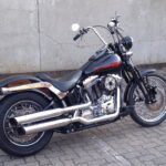 Softail Springer 5