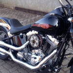 Softail Springer 6